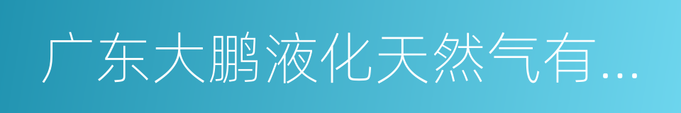 广东大鹏液化天然气有限公司的同义词