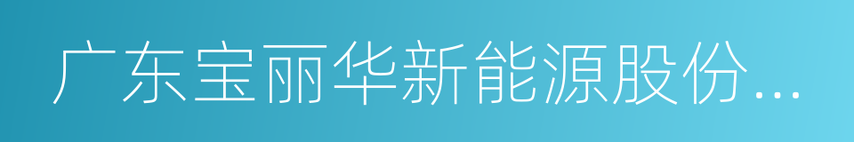 广东宝丽华新能源股份有限公司的同义词