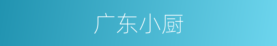 广东小厨的同义词