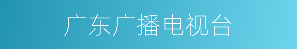 广东广播电视台的同义词