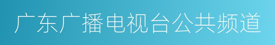 广东广播电视台公共频道的同义词