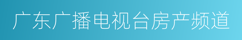 广东广播电视台房产频道的同义词