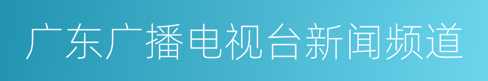 广东广播电视台新闻频道的同义词