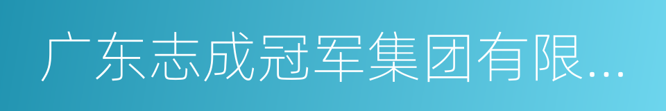 广东志成冠军集团有限公司的同义词