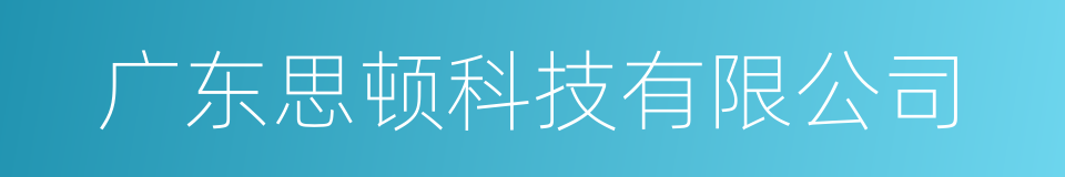 广东思顿科技有限公司的同义词