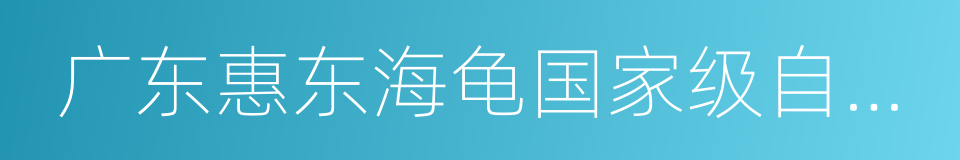 广东惠东海龟国家级自然保护区的同义词