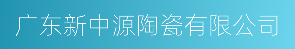 广东新中源陶瓷有限公司的同义词