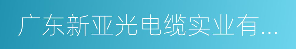 广东新亚光电缆实业有限公司的同义词