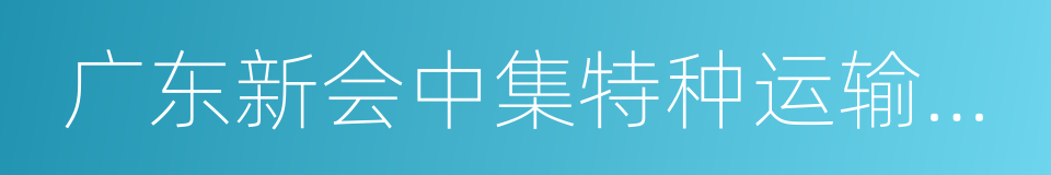 广东新会中集特种运输设备有限公司的同义词