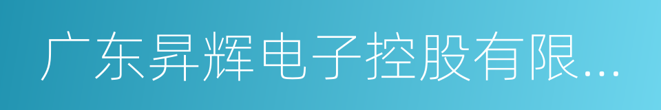 广东昇辉电子控股有限公司的同义词