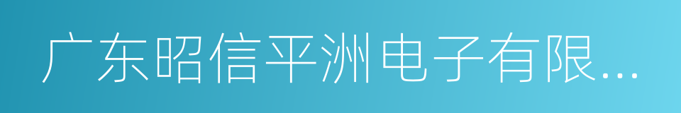 广东昭信平洲电子有限公司的同义词