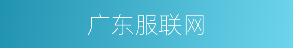广东服联网的同义词