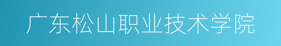 广东松山职业技术学院的同义词