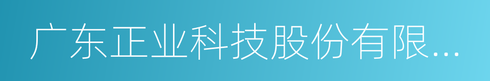 广东正业科技股份有限公司的同义词