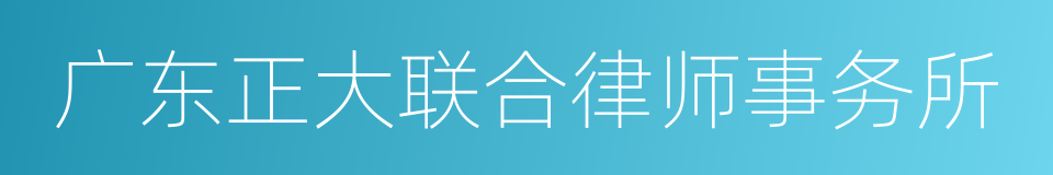 广东正大联合律师事务所的同义词