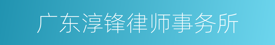 广东淳锋律师事务所的同义词