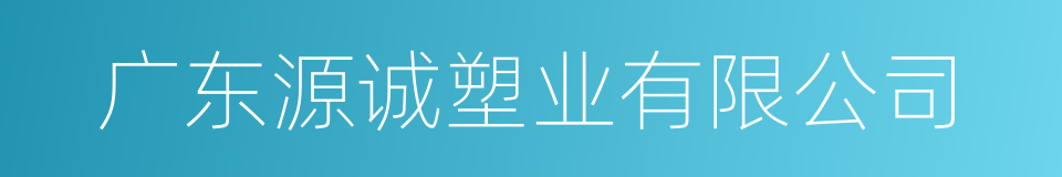 广东源诚塑业有限公司的同义词