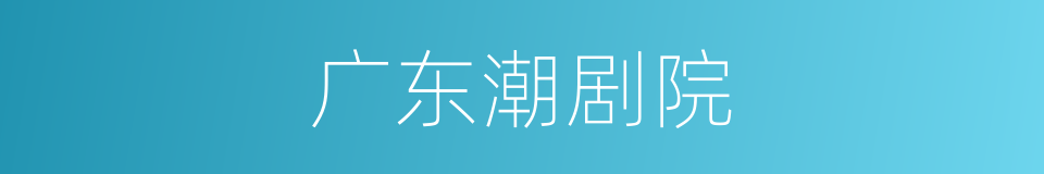 广东潮剧院的同义词