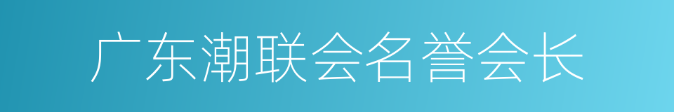 广东潮联会名誉会长的同义词