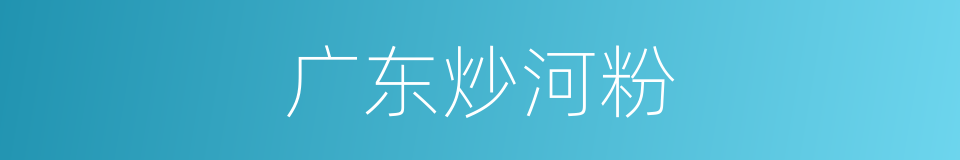 广东炒河粉的同义词