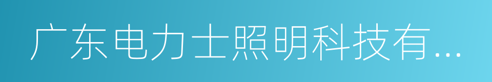 广东电力士照明科技有限公司的同义词