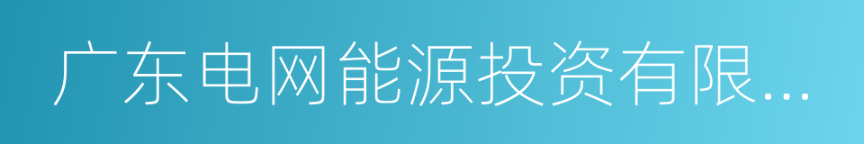 广东电网能源投资有限公司的同义词