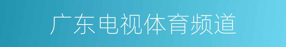 广东电视体育频道的同义词