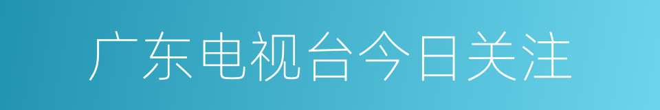 广东电视台今日关注的同义词