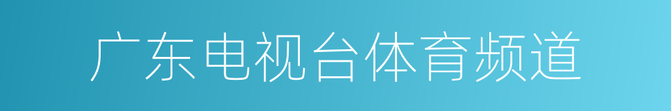 广东电视台体育频道的同义词