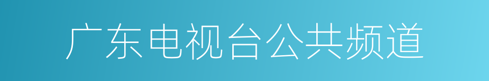 广东电视台公共频道的同义词