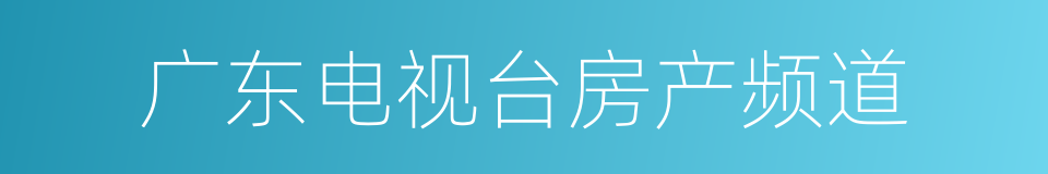 广东电视台房产频道的同义词