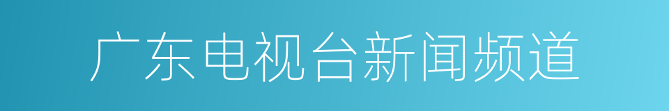 广东电视台新闻频道的同义词