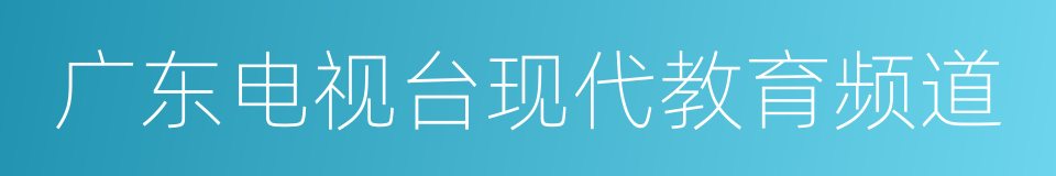 广东电视台现代教育频道的同义词