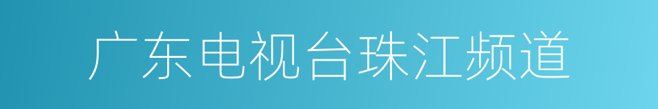 广东电视台珠江频道的同义词