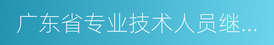 广东省专业技术人员继续教育的同义词