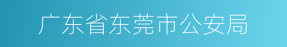 广东省东莞市公安局的同义词