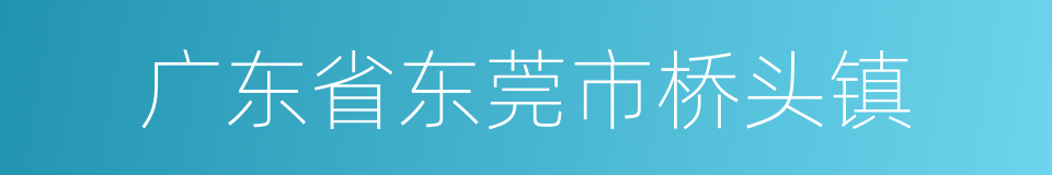 广东省东莞市桥头镇的同义词