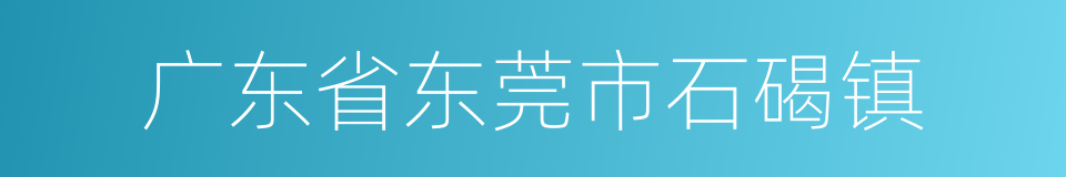 广东省东莞市石碣镇的同义词