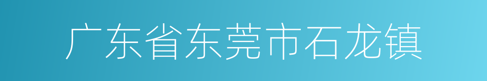 广东省东莞市石龙镇的同义词