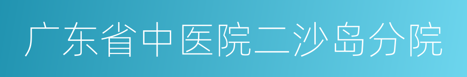 广东省中医院二沙岛分院的同义词