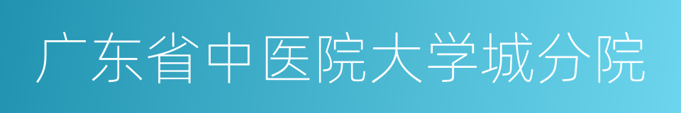 广东省中医院大学城分院的同义词