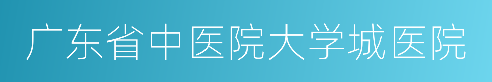 广东省中医院大学城医院的同义词