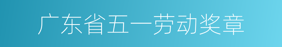广东省五一劳动奖章的同义词