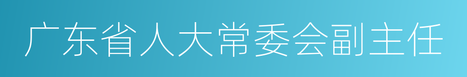 广东省人大常委会副主任的同义词