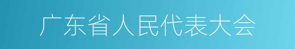 广东省人民代表大会的同义词