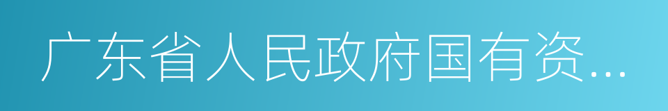 广东省人民政府国有资产监督管理委员会的同义词