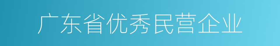 广东省优秀民营企业的同义词