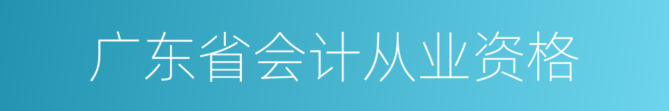 广东省会计从业资格的同义词