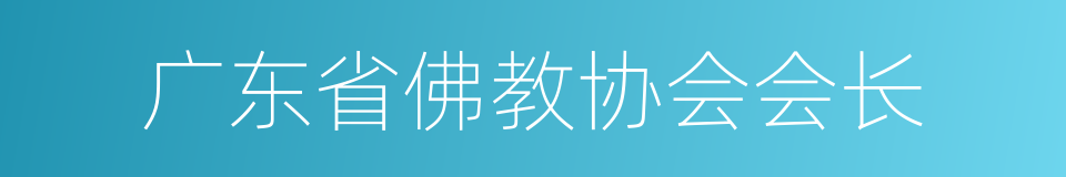 广东省佛教协会会长的同义词