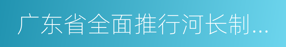 广东省全面推行河长制工作方案的同义词